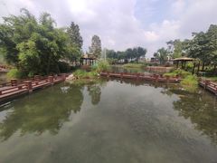 -成飞公园