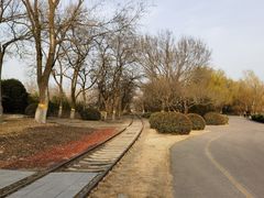 -永定河休闲森林公园