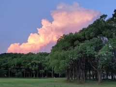 -中国浦东干部学院