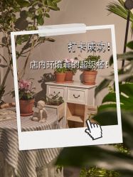 -芳香乐府疗愈空间·SPA·冥想