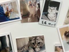-瑞派·关忠动物医院·猫专科·犬专科(三环新城店)