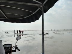 -红树林天天赶海