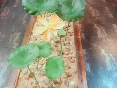 -素心斋素食餐厅