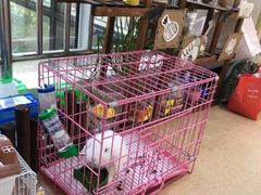 -上海市青苹果幼儿园欧泊园