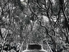 -上海佘山国家森林公园西佘山园