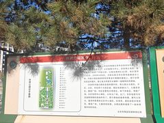 -玲珑塔公园