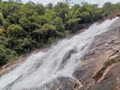 -广州白江湖森林公园