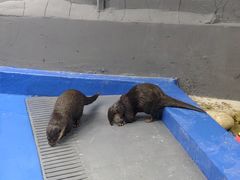 -太平洋海底世界