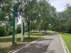 -金银湖国家城市湿地公园