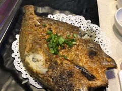 烤东海大黄鱼-九府羊·鲜羊火锅·烤串(新华路店)