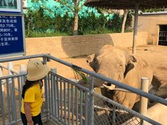 -西霞口神雕山野生动物世界