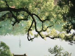-溪口-滕头旅游景区