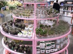 -KKV(深圳宏发大仟里店)