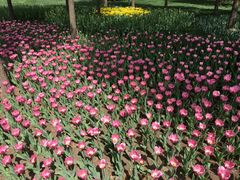 -长春公园(普阳街道)