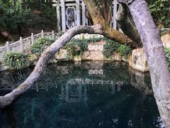 -蝴蝶泉公园