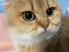 -瑞派福兴宠物医院犬猫全科·骨科·中西医结合(河东店)