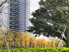 -洲头咀公园