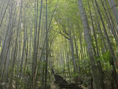 -南山风景名胜区