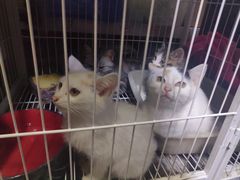 -三旗百汇商品城