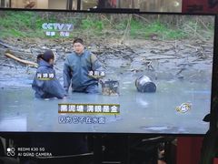 -重庆何乌鱼(南湖逸家店)