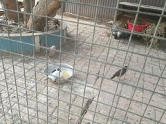 -好江南农庄·农家乐