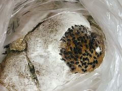 -野上麦田(中贸广场店)