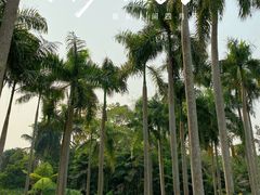 -中国科学院西双版纳热带植物园