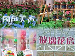 -盈香心动乐园