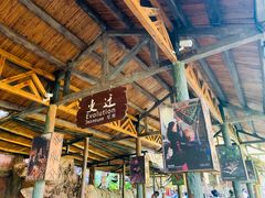 -海南槟榔谷黎苗文化旅游区