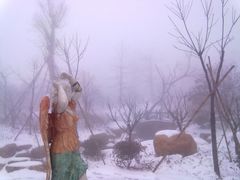 -江南天池