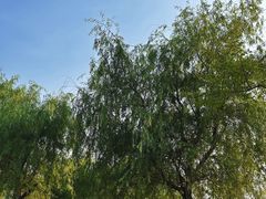 -雅达·阳羡溪山小镇中心