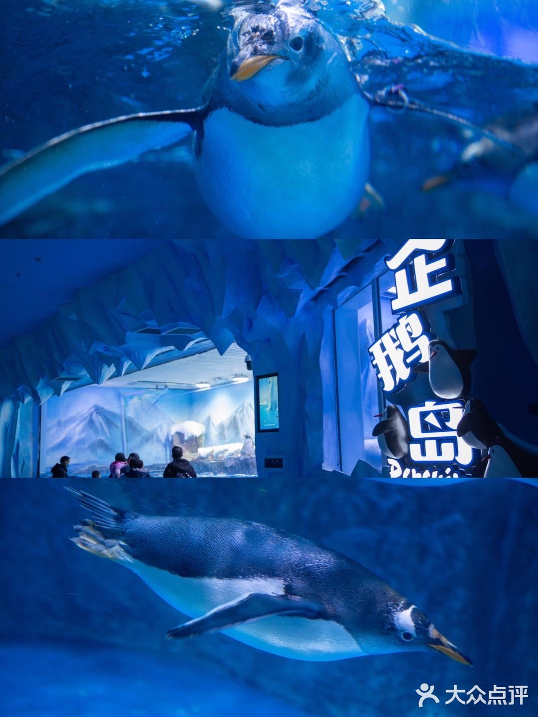 重庆旅游｜春节出游重庆融创文旅城攻略