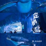 重庆旅游｜春节出游重庆融创文旅城攻略