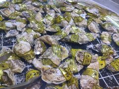 -聚盛源蒸汽海鲜火锅烤肉自助(巨川金海岸购物广场店)