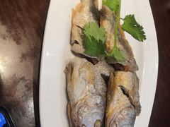 香糟小黄鱼-老半斋(福州路店)