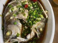 -江南村海鲜馆(洞头店)