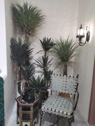 -好看加白色房子