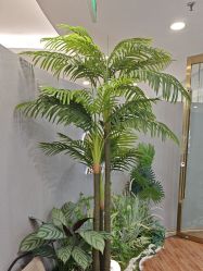 -八佰伴8008星级形象店
