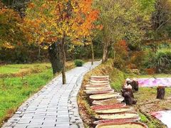 -塔川景区