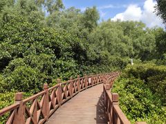 -大亚湾红树林城市湿地公园