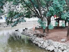 -黔灵山公园
