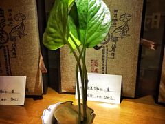 一叶一世界藏茶素食火锅(环球中心店)-一叶一世界•素食餐厅(环球中心店)