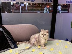-宠颐生维康宠物医院(金丰店)