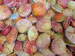 -兆辉木炭海鲜烧烤·海鲜小炒