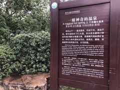 -明月山天沐温泉度假村