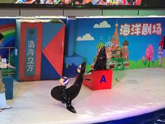 -成都浩海立方海洋公园