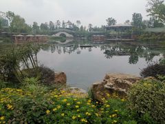 -天府芙蓉园