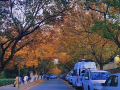 -八大关景区