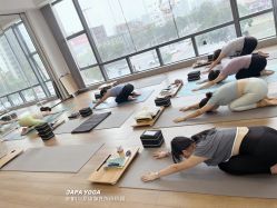 -加帕瑜伽培训学院