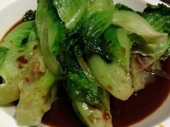 罗马生菜-西贝(上海我格广场店)